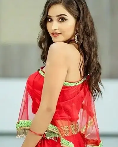 Escort In Vishnu Nagar